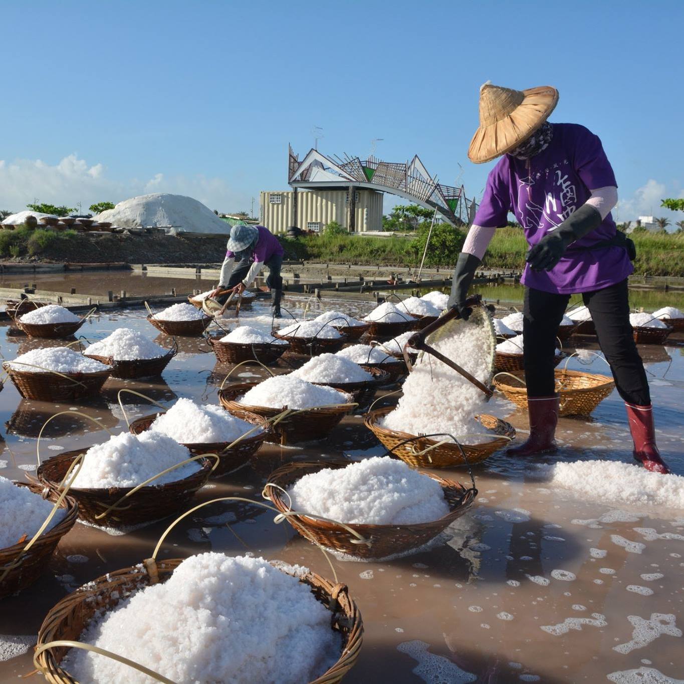 21248300_1549173855122301_3494259425623160177_o